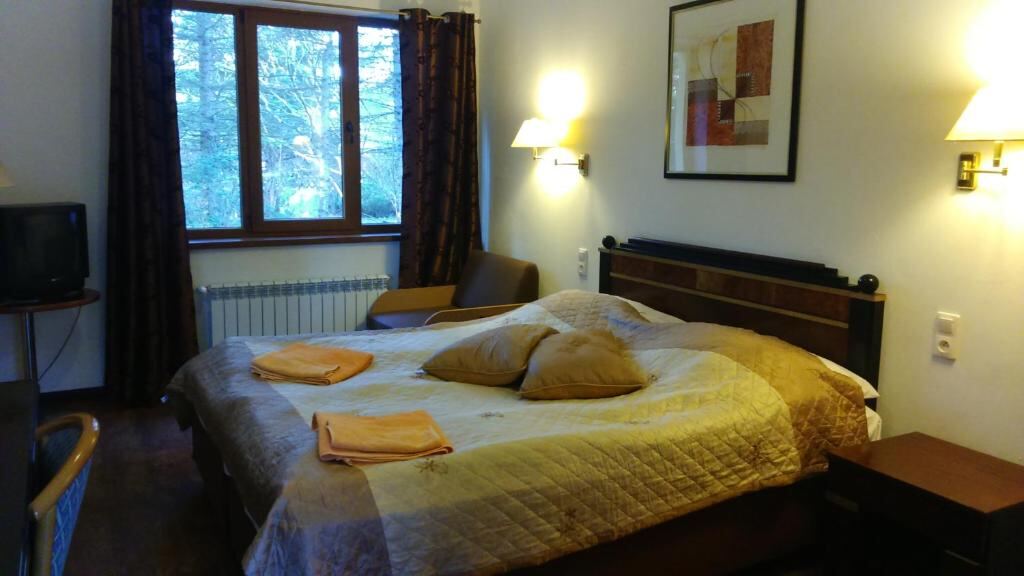 Comfort Twin Room